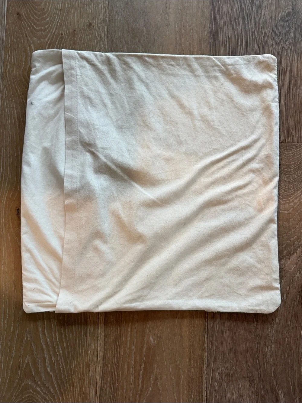 Pottery Barn 2 Holiday Snowflake Throw Pillow Cover - Green and Cream